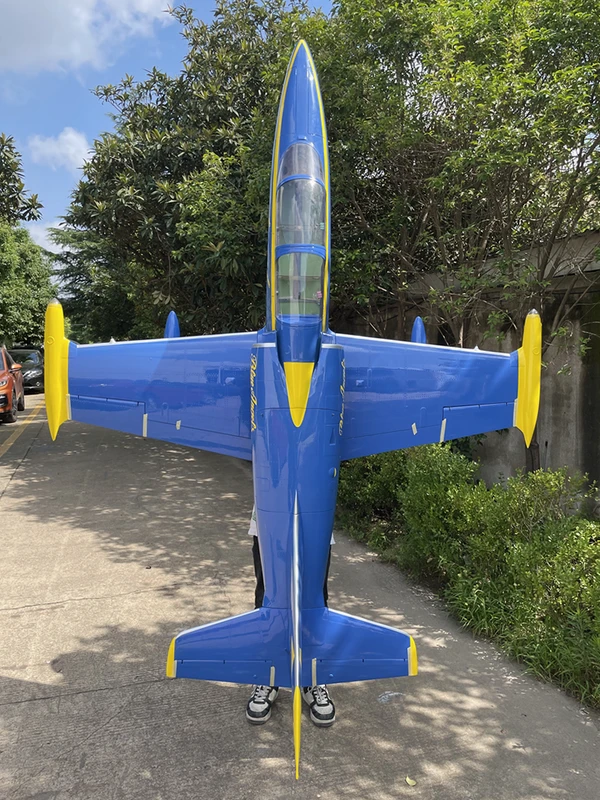 Aero L-39 — 2.6 m photo 17